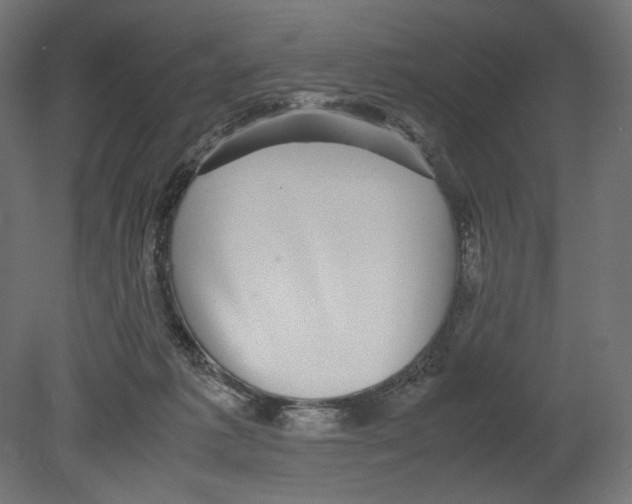 X0000080710221200701121826