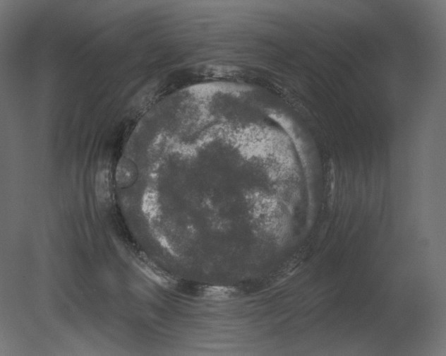 X0000080710222200701121826