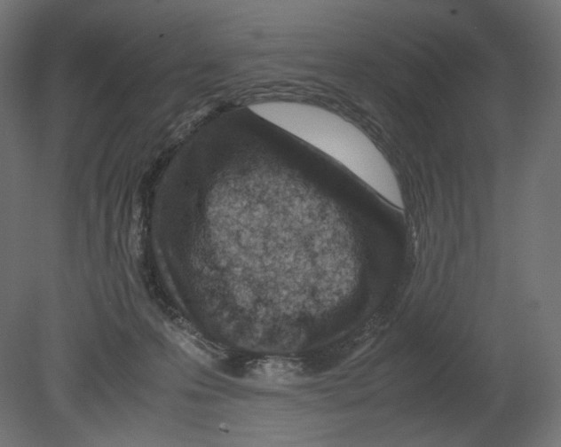 X0000080710223200701121826