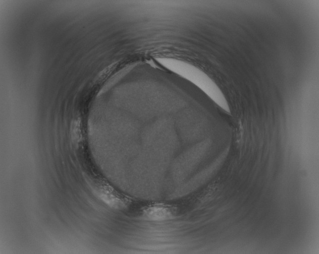 X0000080710224200701121826