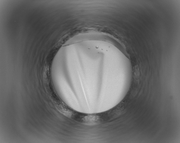 X0000080710225200701121826