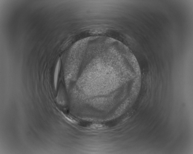 X0000080710227200701121826