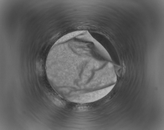 X0000080710228200701121826