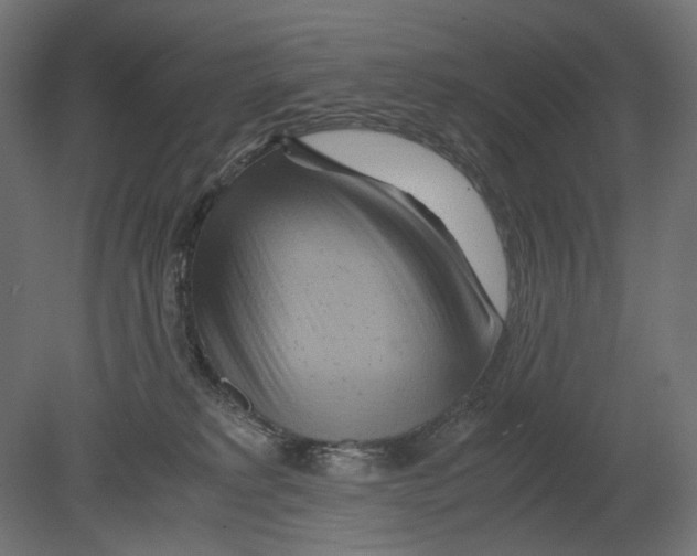 X0000080710229200701121826