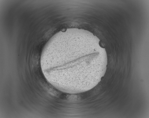 X0000080710230200701121826