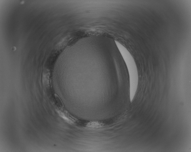 X0000080710231200701121826