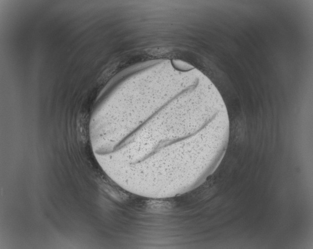 X0000080710234200701121826