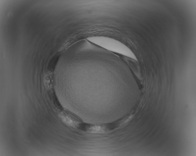 X0000080710237200701121825