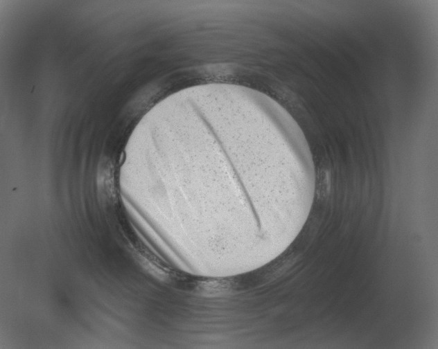 X0000080710238200701121825