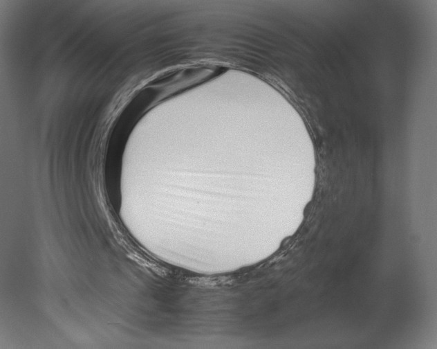 X0000080710241200701121825