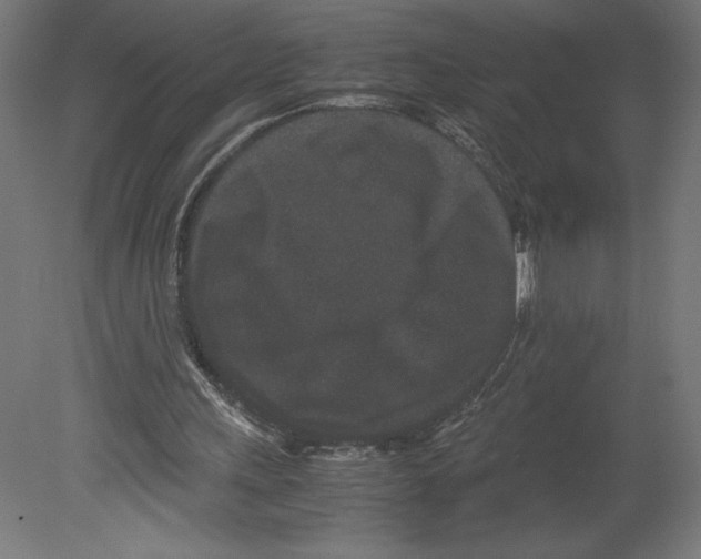 X0000080710243200701121825