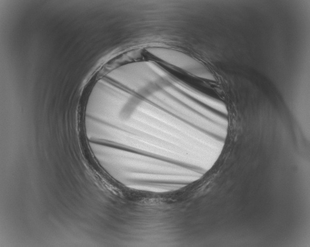 X0000080710244200701121825