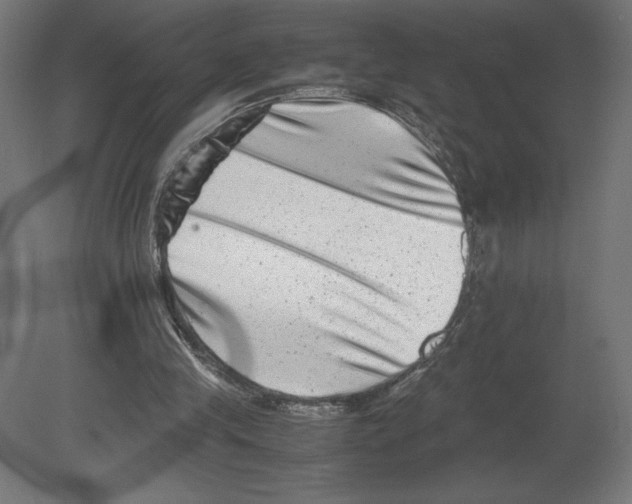 X0000080710245200701121825