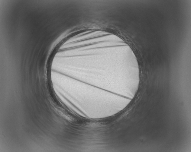 X0000080710246200701121825