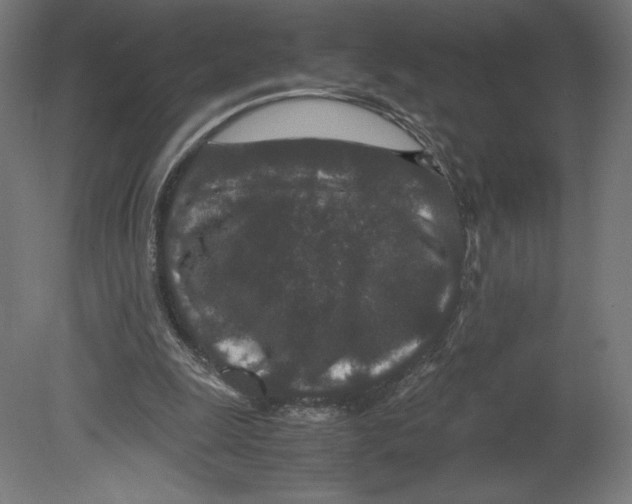 X0000080710247200701121825