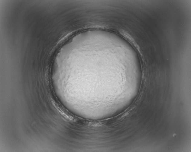 X0000080710249200701121825