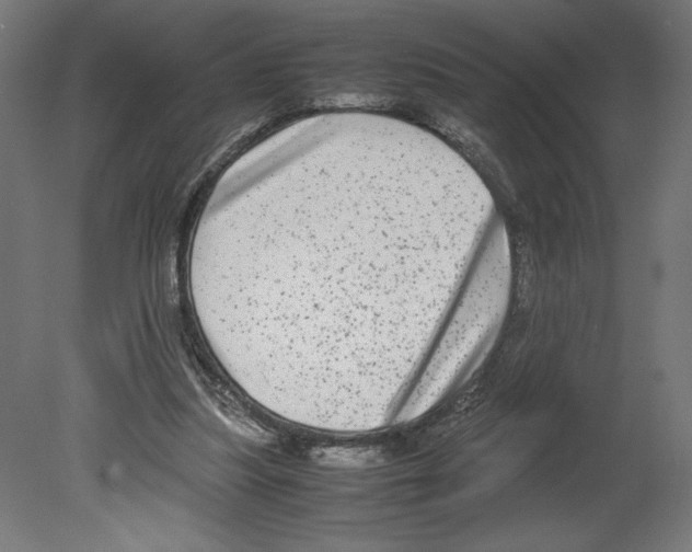 X0000080710251200701121825