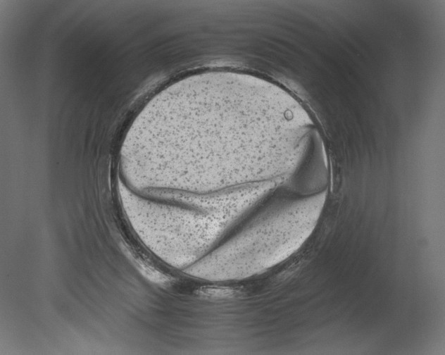 X0000080710253200701121825