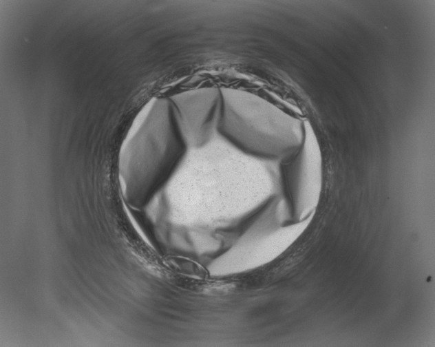 X0000080710257200701121825