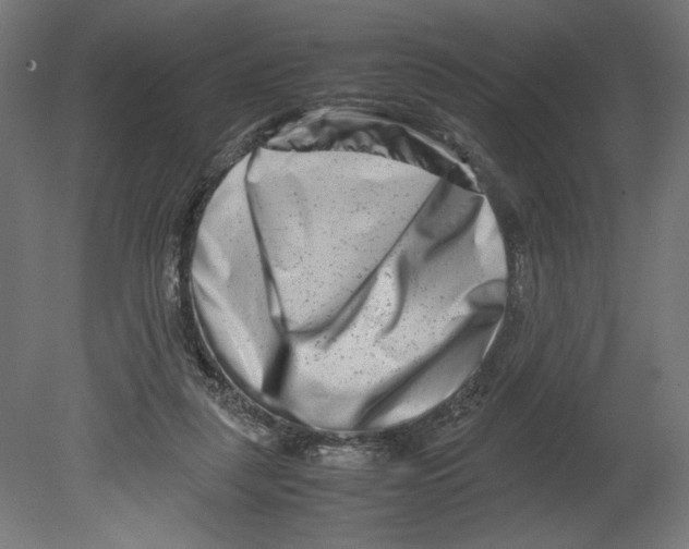 X0000080710259200701121825