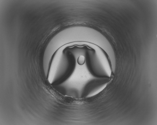 X0000080710260200701121825