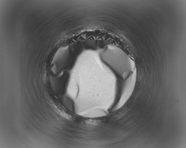 X0000080710261200701121825