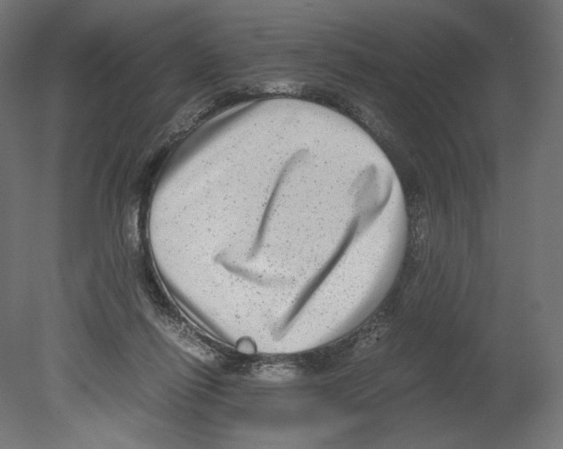 X0000080710262200701121825