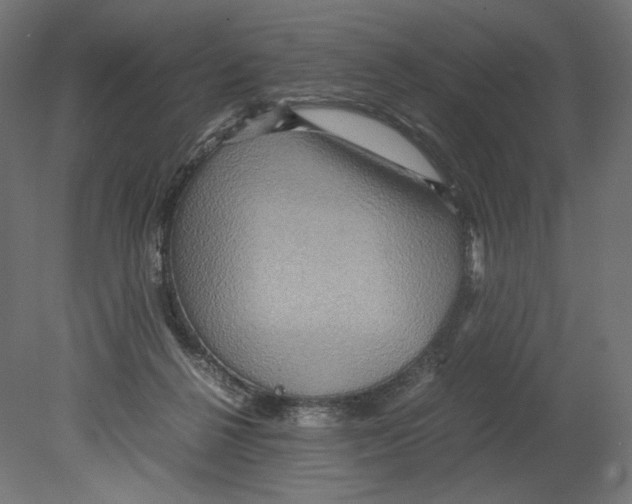 X0000080710264200701121825