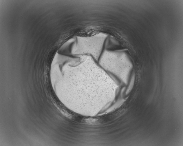 X0000080710265200701121825