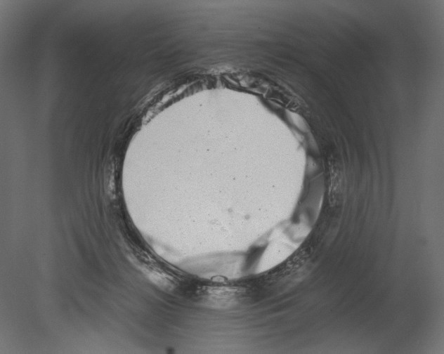 X0000080710268200701121825