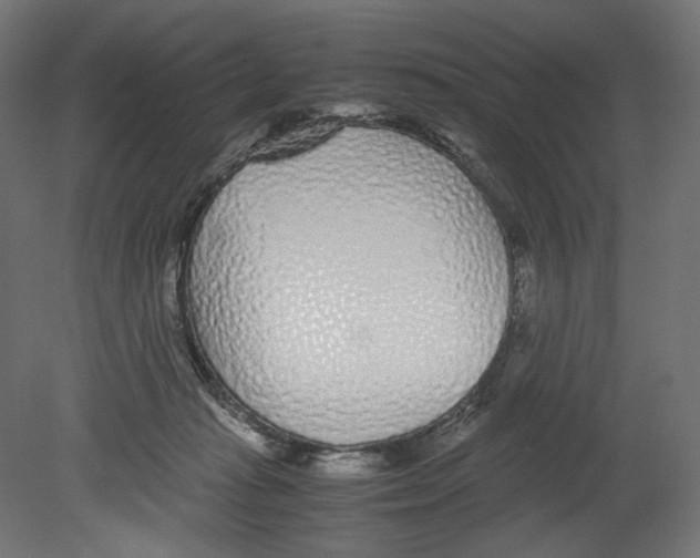 X0000080710269200701121825