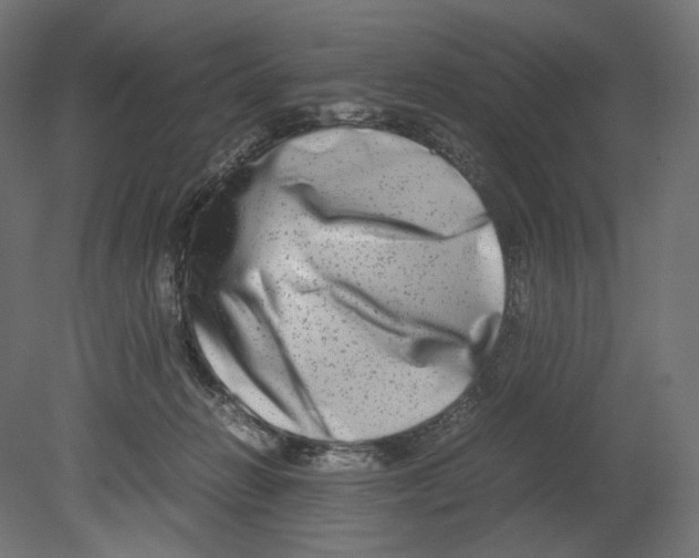 X0000080710270200701121825