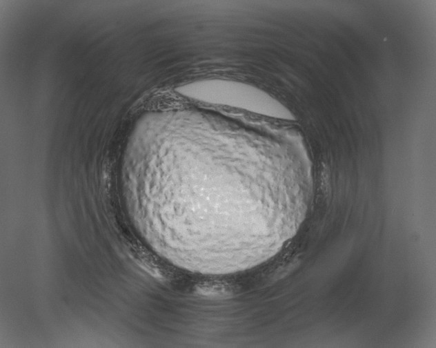 X0000080710271200701121825