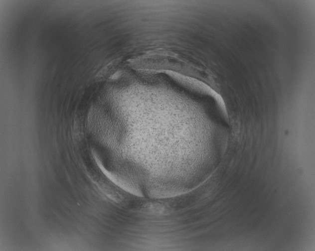 X0000080710272200701121825