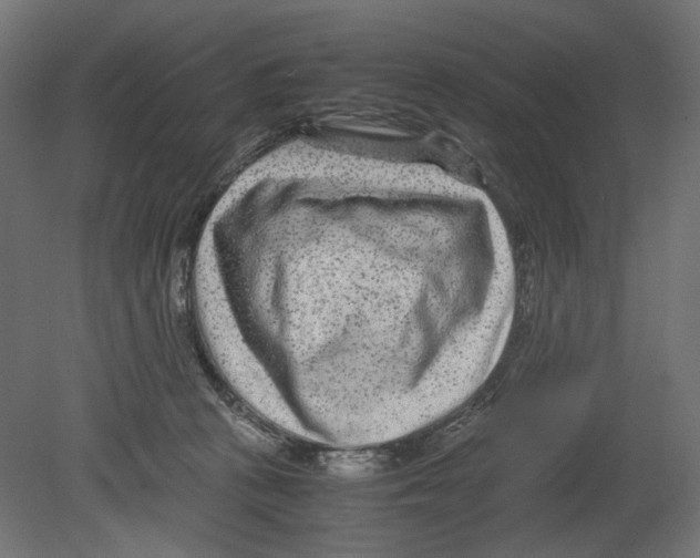 X0000080710273200701121825