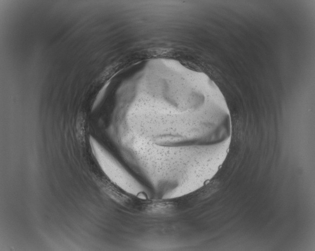 X0000080710274200701121825