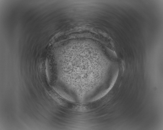 X0000080710276200701121825