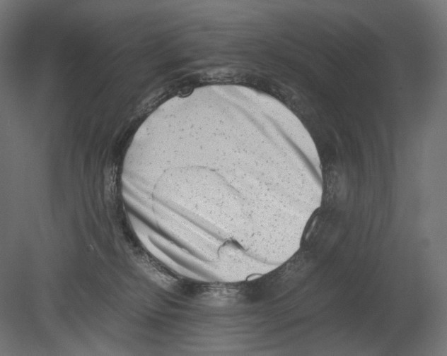 X0000080710278200701121825