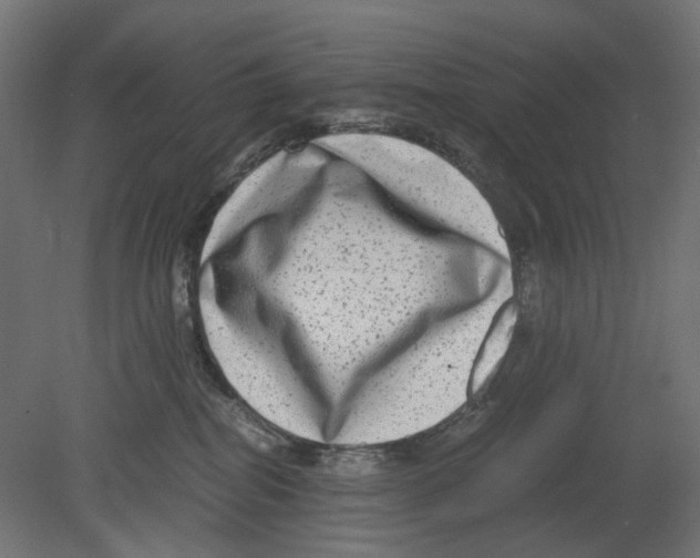 X0000080710282200701121825