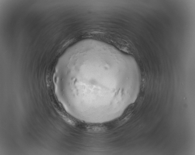 X0000080710285200701121825