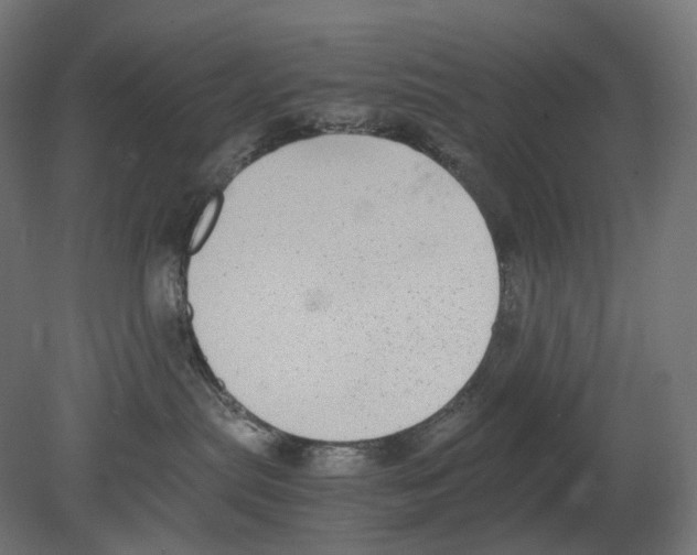 X0000080710287200701121825