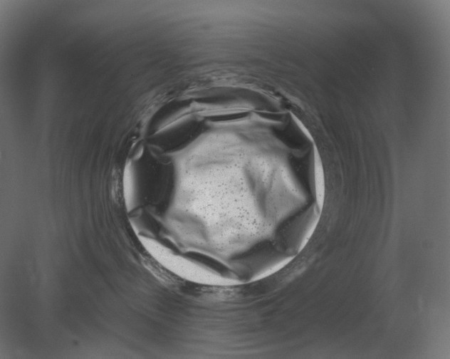 X0000080710288200701121825