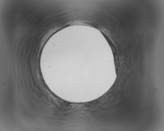 X0000080710289200701121825