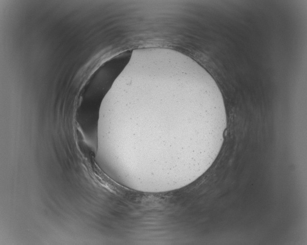 X0000080710290200701121825