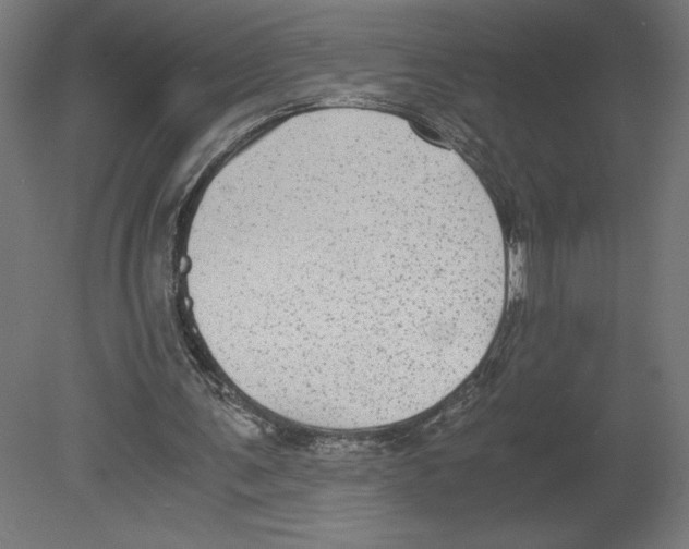 X0000080710291200701121825