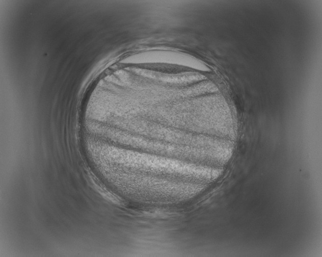 X0000080710293200701121825