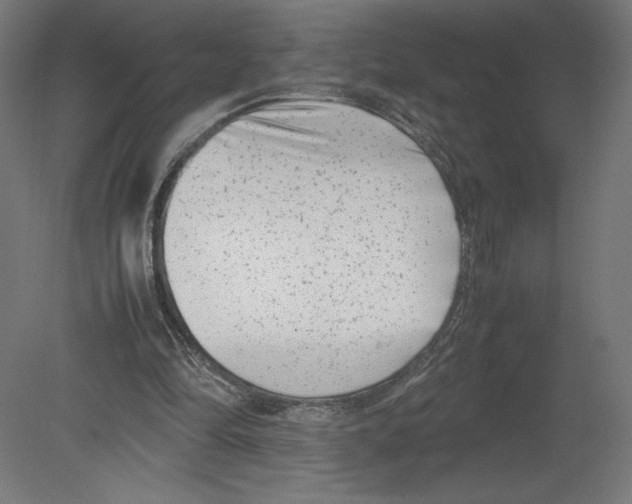 X0000080710294200701121825