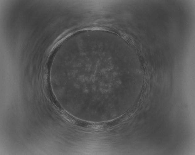 X0000080710295200701121824