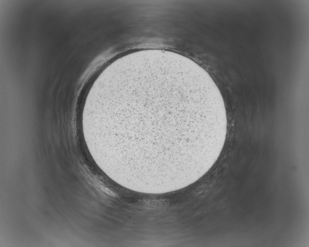 X0000080710296200701121824