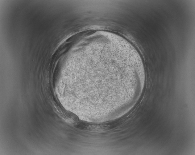 X0000080710297200701121824